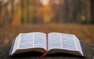 Commentaire sur la liturgie dominicale