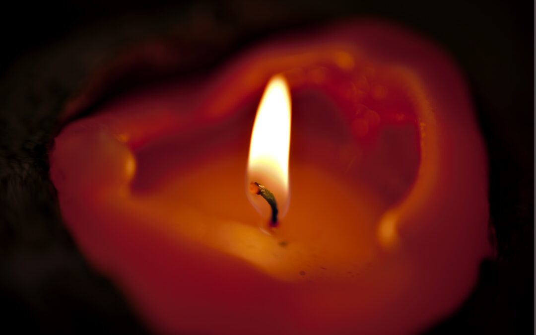 Journée internationale de commémoration de l’Holocauste