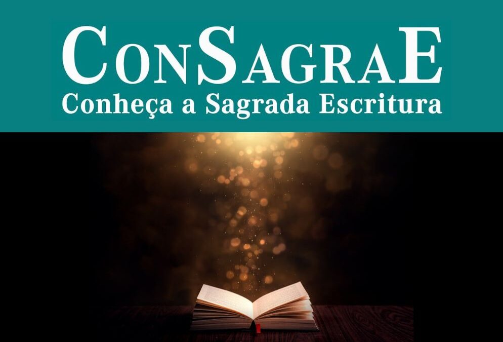 Um segundo ano de cursos bíblicos on-line no Brasil
